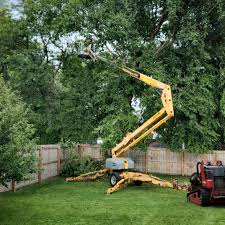 Best Arborist Consultation Services  in Baden, MD